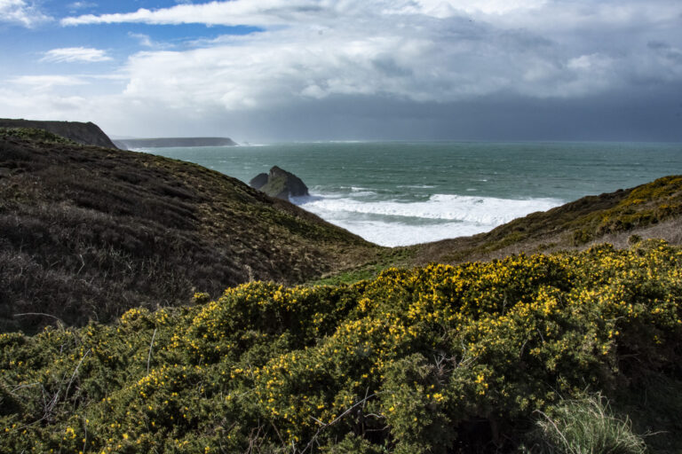 Cornish Coastal Habitats