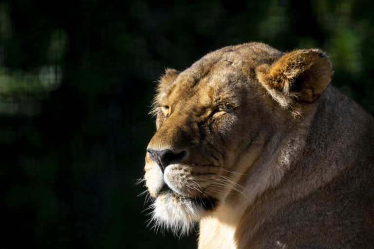 Entertainment Or Education – Magazine Article